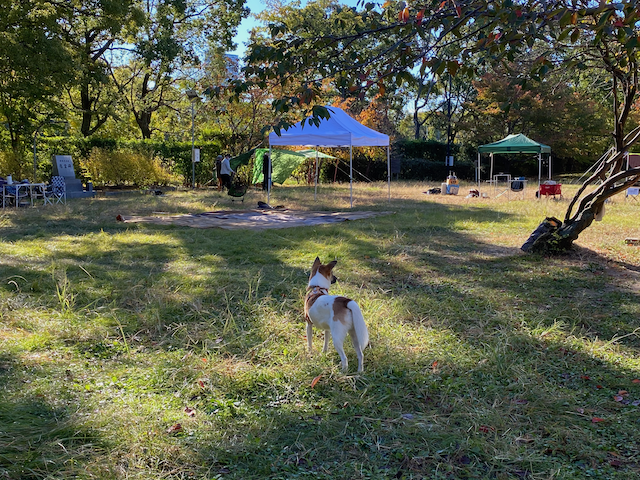 のの公園イベント