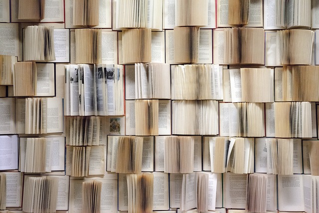 Book wall 1151405 640