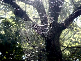 8a91edd3 170a 404b 81c4 7694e75158db