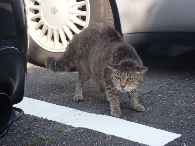 Ba216312 3e4f 4e06 a0f7 e98542a4e078