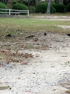 F92EF73E 5BAE 4F73 BB76 F68734D1CCE3