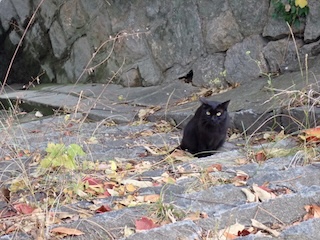 1A08ABF8 B10A 4FA2 BBB5 822A7111C66E