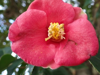 73023775 CF03 44C7 B095 69093A34AB6D