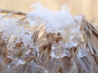 DAC41ED1 1015 4269 8D38 A42500CF09B8