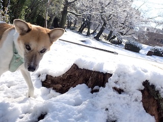 FB0FF70C 2B96 4C07 88CB 6F0A9237183C